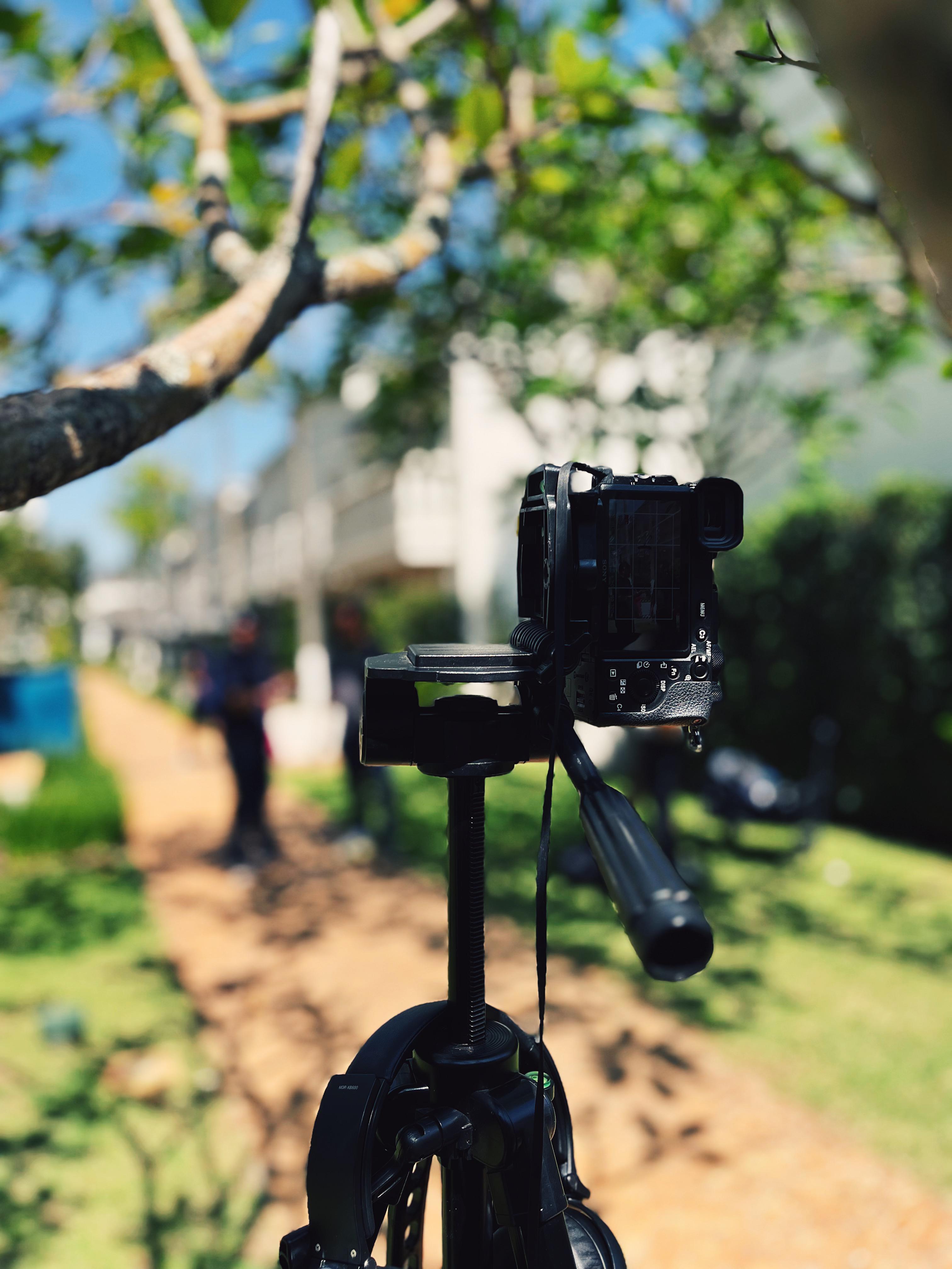 Memórias que vendem